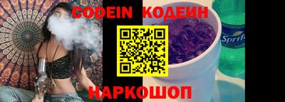 индика Пенза