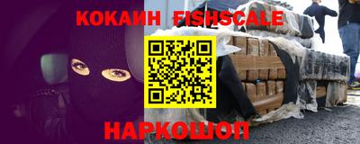 индика Пенза