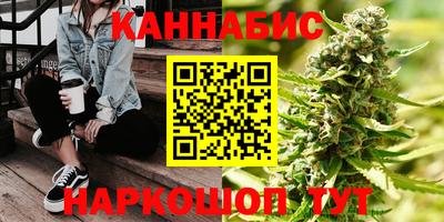 индика Пенза