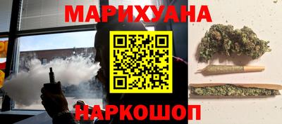 индика Пенза