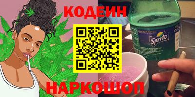 индика Пенза