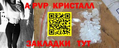 индика Пенза