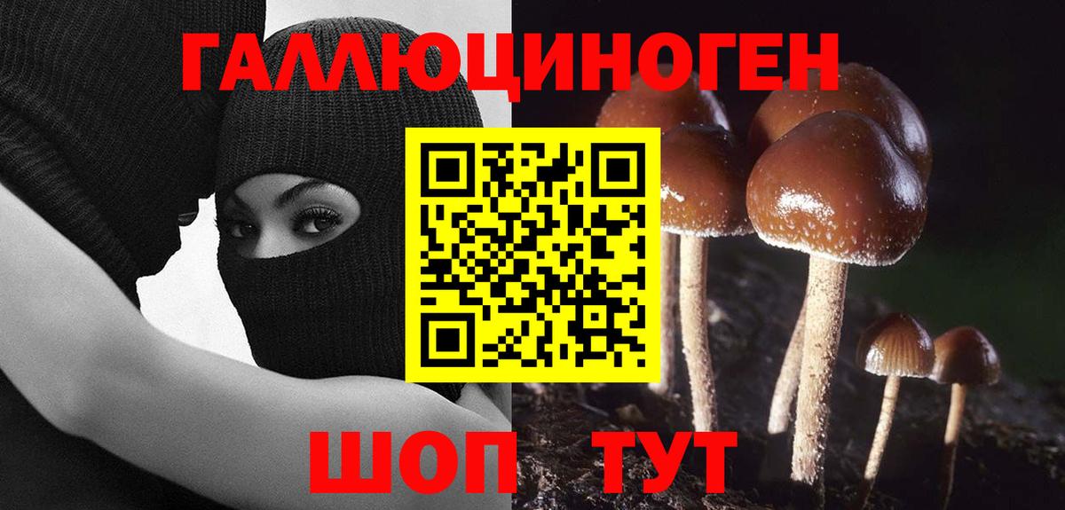 Галлюциногенные грибы прущие грибы  Псилоцибиновые грибы ЛСД  Тайшет  Вход с VPN 